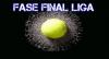 Final liga